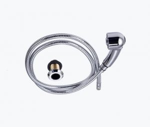 Karma Dual Spray Shower Head & Hose